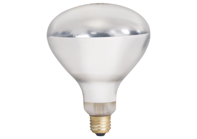 Shatter-Resistant Bulb, 250W, Clear by Winco