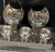 Stainless Steel Hammered Pani Puri 5 Bowl Set