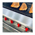 Radiant Range with Standard Oven By American Range