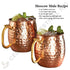16 oz Handcrafted Moscow Mule Copper Mug with Traditional Brass Handle