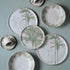 Porto Brasil Bio Plates Stoneware Tropicalia ( Case of 12)