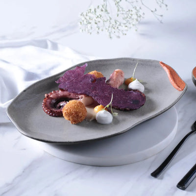 Porto Brasil Bio Shallow Oval Platter 11.81 in. Stoneware Dust ( Case of 12)