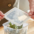 Cambro FreshPro Half Quart and 1 Quart Easy Seal Cover Translucent ( Case of 6 )