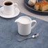 Ariane Orba Round Embossed Porcelain Creamer with Handle ( Case Of 6 ) (Copy)
