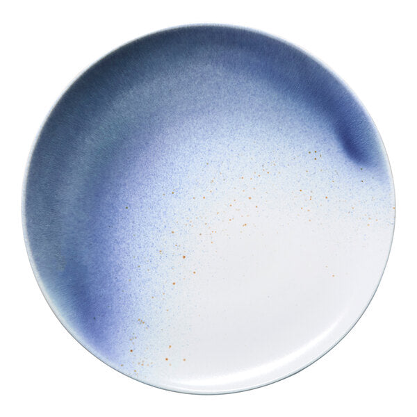 Ariane Lir 11 3/7" Ombre Slanted Porcelain Flat Coupe Plate ( Case Of 6 )