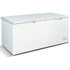 Omcan FR-CN-0600 76-inch Chest Freezer With Solid Flat Top