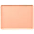 Cambro Camtray 12 x 16 Fiberglass Dietary Serving Tray ( Case of 12 )