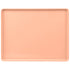 Cambro Camtray 14 x 18 Fiberglass Dietary Serving Tray ( Case of 12 )