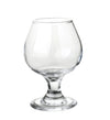 Yanco Aqua Spirits Glassware Brandy Glass ( Pack Of 24 )