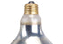 Shatter-Resistant Bulb, 250W, Clear by Winco -Available in Different Colors