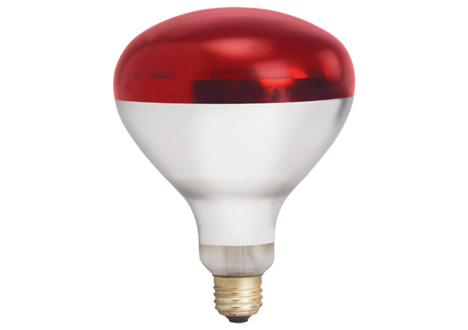 Shatter-Resistant Bulb, 250W, Clear by Winco -Available in Different Colors