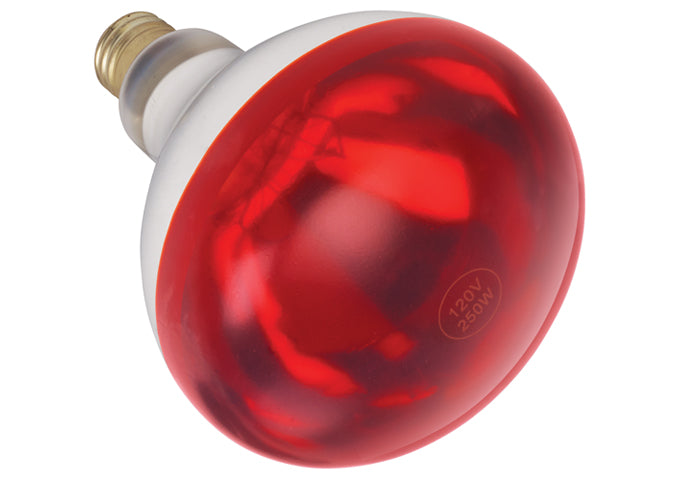 Shatter-Resistant Bulb, 250W, Clear by Winco -Available in Different Colors