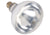 Shatter-Resistant Bulb, 250W, Clear by Winco -Available in Different Colors