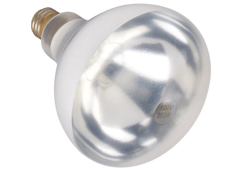 Shatter-Resistant Bulb, 250W, Clear by Winco -Available in Different Colors