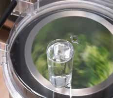 Sammic Salad Spinner/ Drier ES-100 (1000702), 120/50-60/1