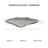 Durable stainless steel triangular plate for home or restaurant use