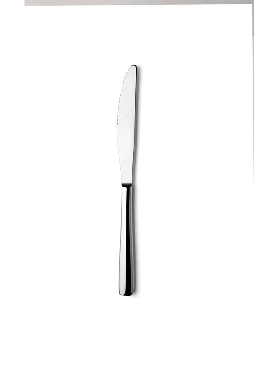 Ariane Maverick Stainless Steel Heavy Weight Knife ( Case Of 12 )