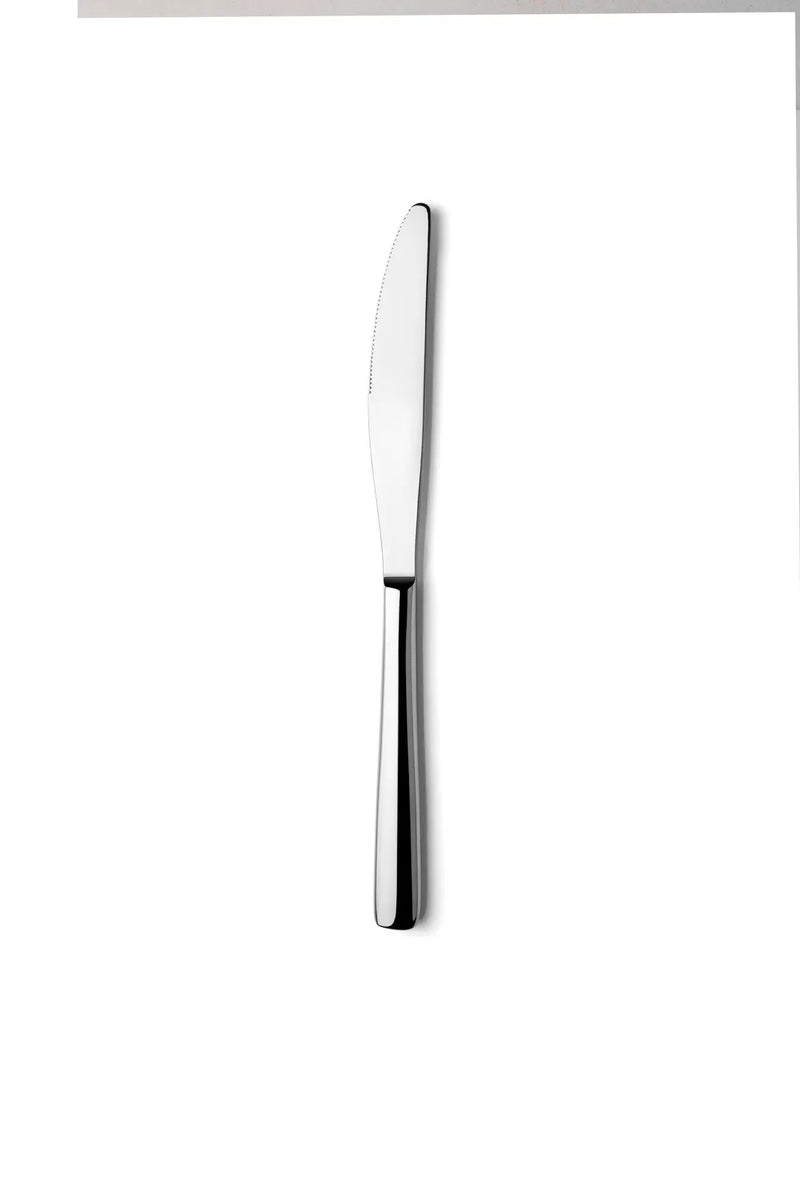Ariane Maverick Stainless Steel Heavy Weight Knife ( Case Of 12 )
