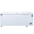 Dukers BD/BG-520 Commercial Chest Freezer in White