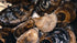 Krowne MoveWell Oyster Insert – MW-OS Modular Component