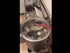 Sammic Onion/Potato Peeler PI-30 (1000638) 120/60/1 – High-Capacity Commercial Vegetable Peeling Machine